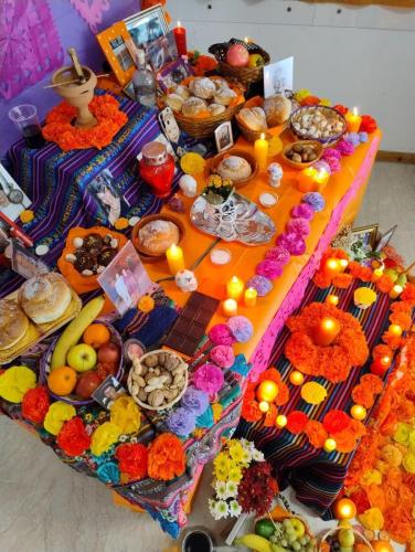 WhatsApp Image 2025-11-03 at 09.38.05 (2)