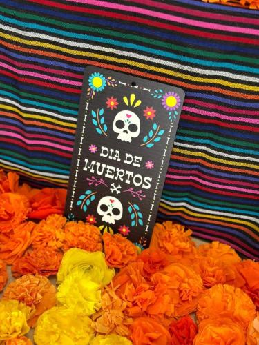 WhatsApp Image 2025-11-03 at 09.38.06 (3)