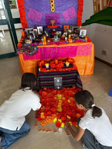 WhatsApp Image 2025-11-03 at 09.38.06 (7)