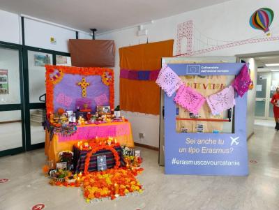 WhatsApp Image 2025-11-03 at 09.38.06