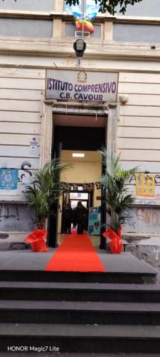 WhatsApp Image 2025-11-26 at 15.55.43 (1)