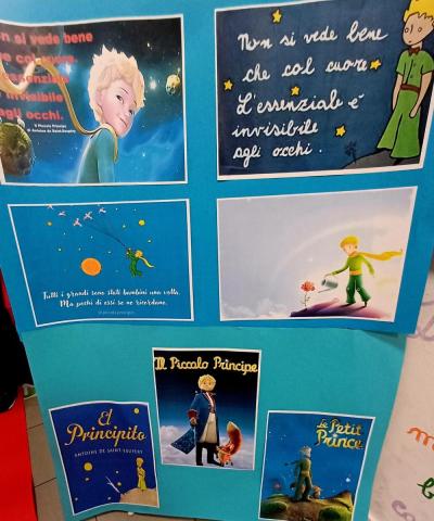 WhatsApp Image 2025-11-26 at 15.55.44 (3)