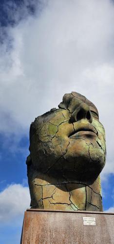 WhatsApp Image 2025-12-24 at 09.58.51