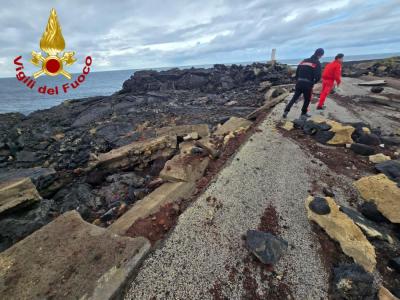 WhatsApp Image 2026-01-25 at 21.34.39