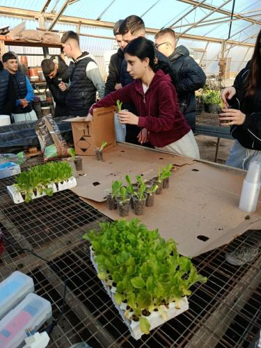 WhatsApp Image 2026-01-29 at 17.35.28 (2)