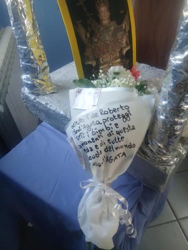 WhatsApp Image 2026-02-05 at 11.16.18 (3)