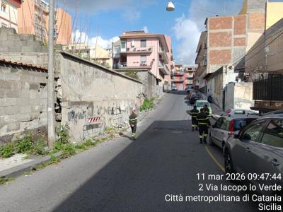 WhatsApp Image 2026-03-11 at 16.25.22 (1)