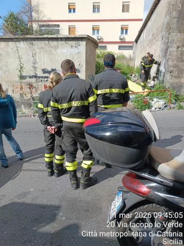 WhatsApp Image 2026-03-11 at 16.25.22