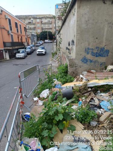 WhatsApp Image 2026-03-11 at 16.25.23