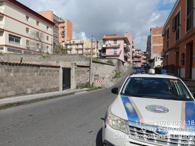 WhatsApp Image 2026-03-11 at 16.25.25