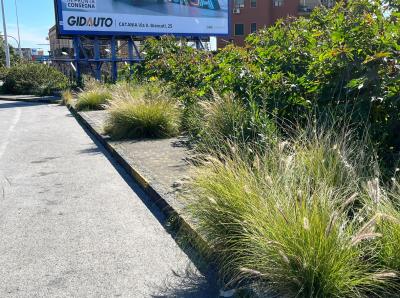 WhatsApp Image 2026-04-01 at 11.42.43