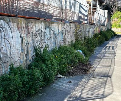 WhatsApp Image 2026-04-01 at 11.42.44 (1)