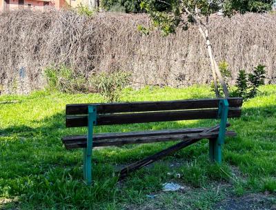 WhatsApp Image 2026-04-01 at 11.42.44