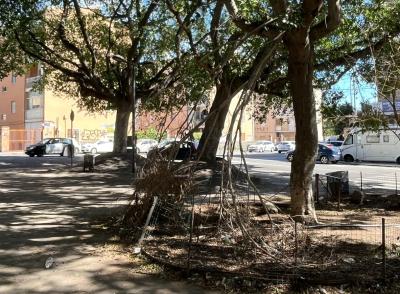 WhatsApp Image 2026-04-01 at 11.42.45