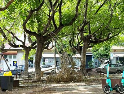 WhatsApp Image 2026-04-01 at 11.42.47 (1)