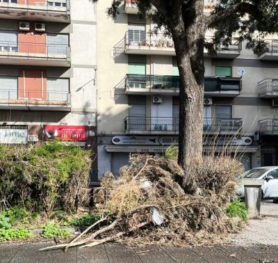 WhatsApp Image 2026-04-01 at 11.42.47 (2)