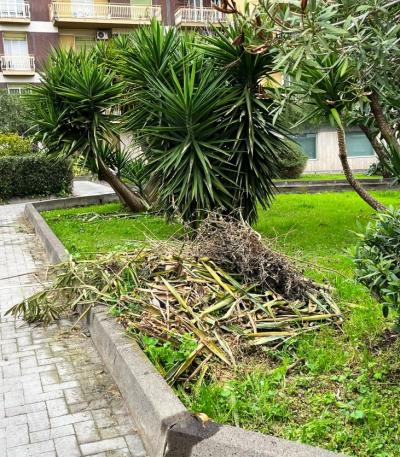 WhatsApp Image 2026-04-01 at 11.42.48