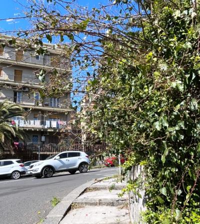 WhatsApp Image 2026-04-01 at 11.42.49