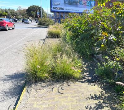 WhatsApp Image 2026-04-01 at 11.44.10