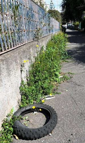 WhatsApp Image 2026-04-01 at 11.44.11 (1)