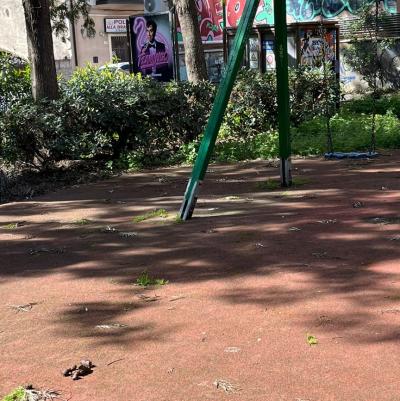 WhatsApp Image 2026-04-01 at 11.44.11 (3)