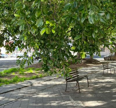 WhatsApp Image 2026-04-01 at 11.44.11 (4)