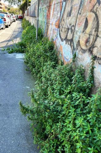 WhatsApp Image 2026-04-01 at 11.44.11