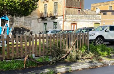 WhatsApp Image 2026-04-01 at 11.44.13