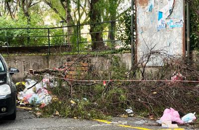 WhatsApp Image 2026-04-01 at 11.44.15 (1)