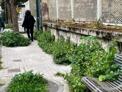 WhatsApp Image 2026-04-01 at 11.44.15