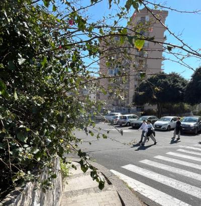 WhatsApp Image 2026-04-01 at 11.44.16 (1)