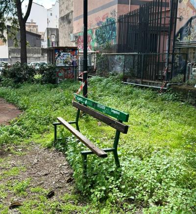 WhatsApp Image 2026-04-01 at 11.44.16