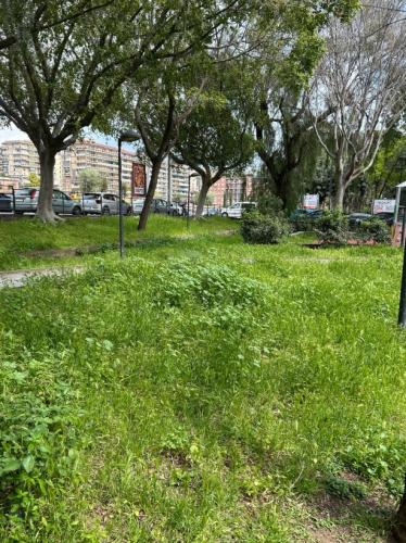 WhatsApp Image 2026-04-01 at 11.44.17 (1)