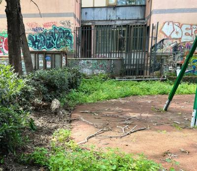 WhatsApp Image 2026-04-01 at 11.44.17