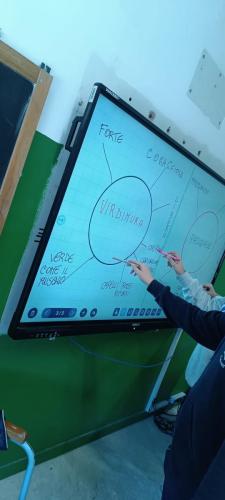 WhatsApp Image 2026-04-08 at 13.03.11 (5)