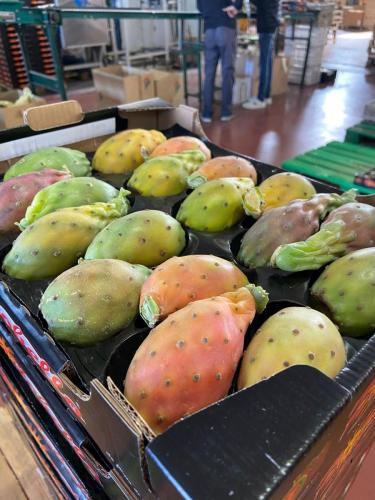 ae16d35a-a676-49cf-af5b-c838acada1ce