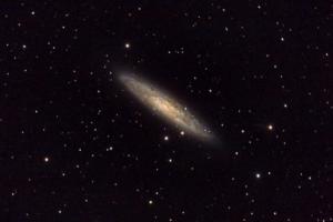galassia NGC 253