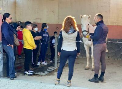 in.sella.per.crescere.4