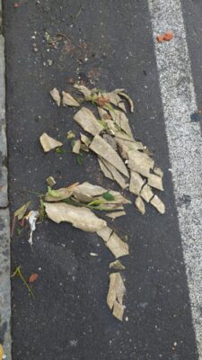 Eternit via Zia Lisa