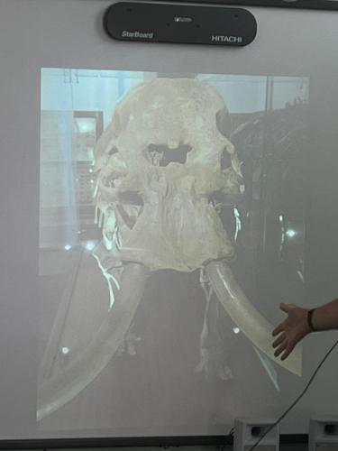 2a3825ed-8e5d-4e31-bc43-285d9b85fe6e