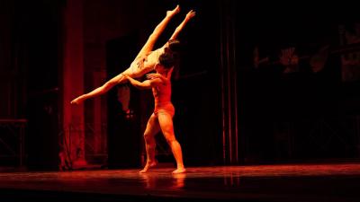 353031500 1302490193708608 7908476844076975348 n