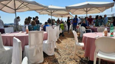 84f9d81f-67dc-4887-96da-589fb9f7254b