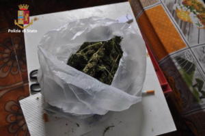 Piantagione di marijuana ad Adrano