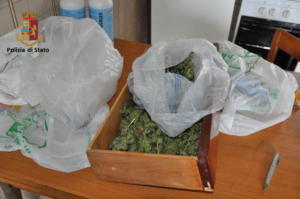 Piantagione di marijuana ad Adrano