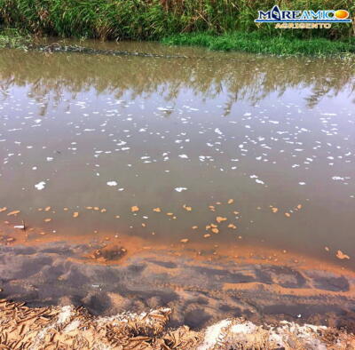 Disastro-ambientale-Fiume-Modione-2