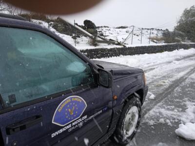 Immagine-WhatsApp-2023-02-10-ore-10.56.084