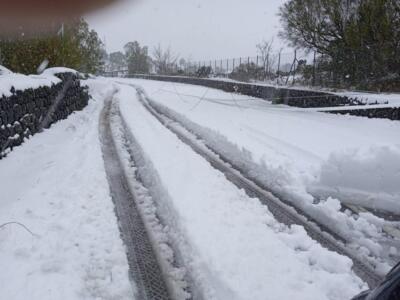 Immagine-WhatsApp-2023-02-10-ore-10.56.095