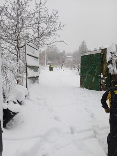 Immagine-WhatsApp-2023-02-10-ore-10.56.1110