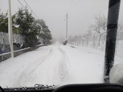 Immagine-WhatsApp-2023-02-10-ore-10.56.1111