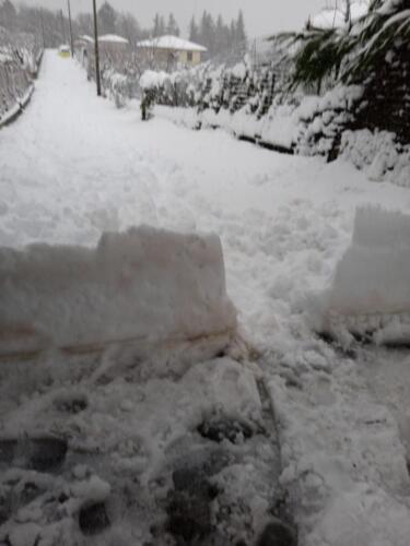 Immagine-WhatsApp-2023-02-10-ore-10.56.1212